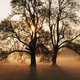 Claire Fisher's picture