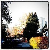 Sunny December