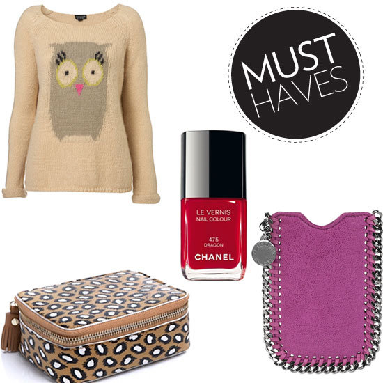 January Fashion and Beauty Must Haves You Can Justify For 2012!