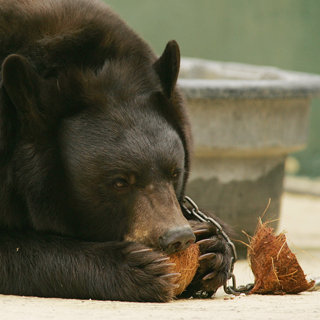 Image Image