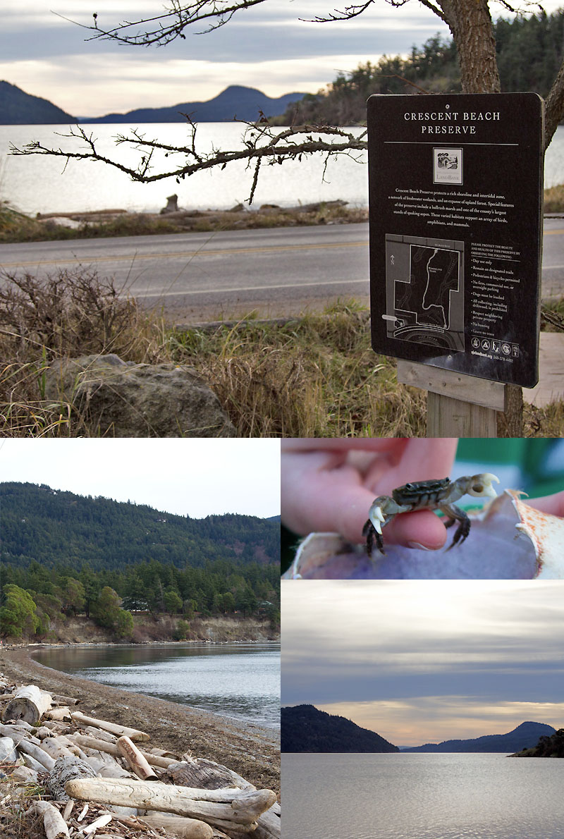 Catch and Release Crabs at Crescent Beach, Orcas Island