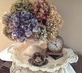 Hydrangeas 
