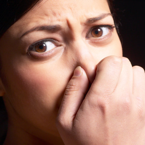 Pregnancy Food Aversions
