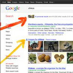 Google Adding Google+ In Search Results Google Adding Google+ In Search Results