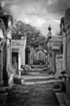 Lafayette Cemetery No 1