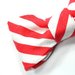 Clip-On Bow Tie ($18)