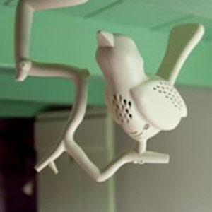 Chick-a-Dee Offers Cool Smoke Alarm