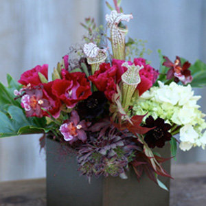 Flora Grubb Bouquet Photos