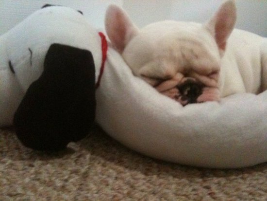Sleep is good for weight loss