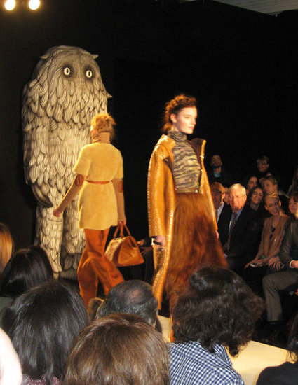 First Looks