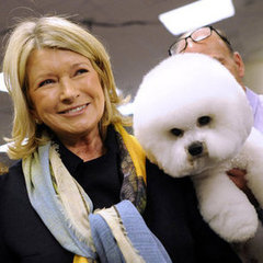 2012 Westminster Kennel Club Dog Show Pictures 2012 Westminster Kennel Club Dog Show Pictures
