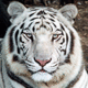 Melanie2329599 Melanie2329599