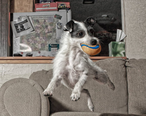 Check out my action shot!
Source: Flickr user Emery_Way
Check out my action shot!
Source: Flickr user Emery_Way