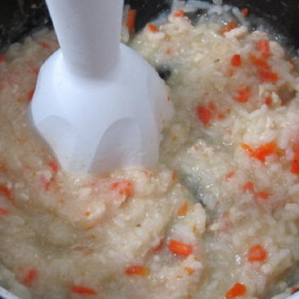 Chicken and Carrot Baby Food Recipe Chicken and Carrot Baby Food Recipe