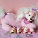 Puppy Surprise
