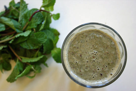 Mint Chocolate Shake Mint Chocolate Shake