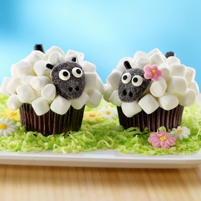 Little Lambs Little Lambs