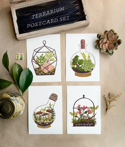 Terrarium Postcard SET 8pcs
