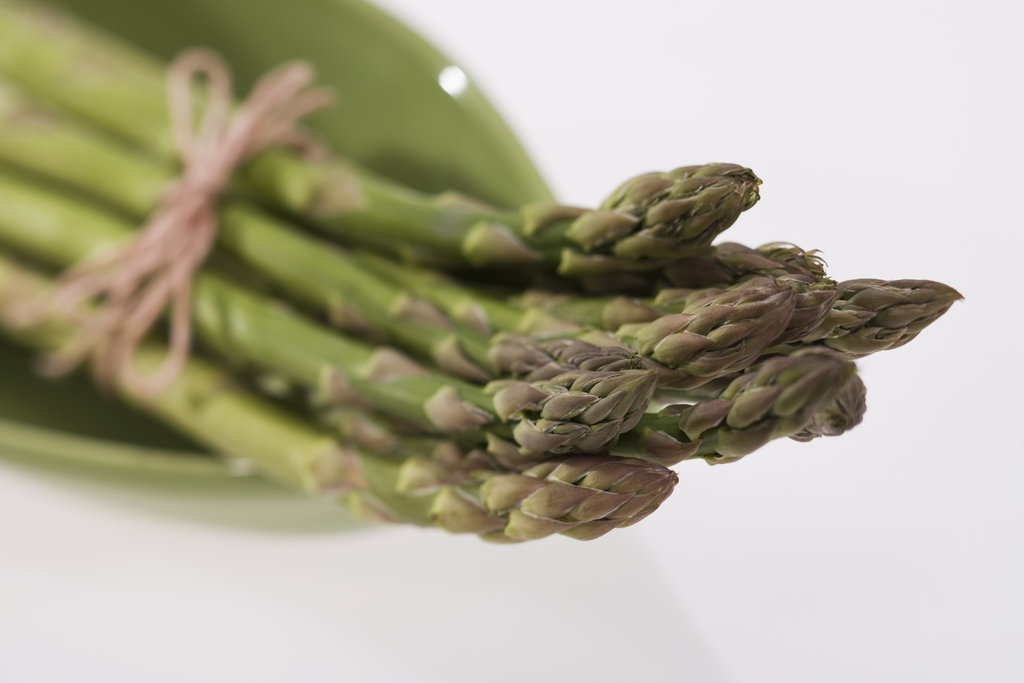 Asparagus Asparagus