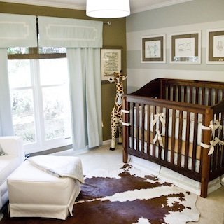 Baby Boy Nursery Inspiration