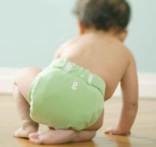 The Baby Kit: gDiapers The Baby Kit: gDiapers
