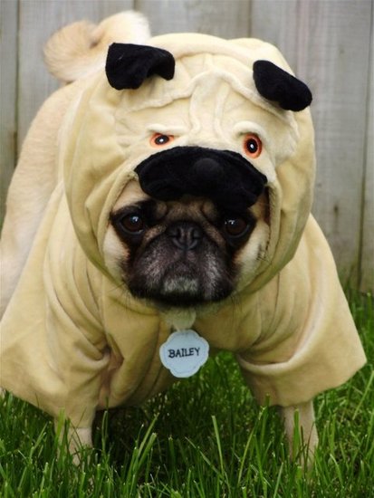 Nobody Will Ever Recognize Me!