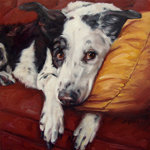 A Dozen Ways to Tell Your Pet I Love You A Dozen Ways to Tell Your Pet I Love You