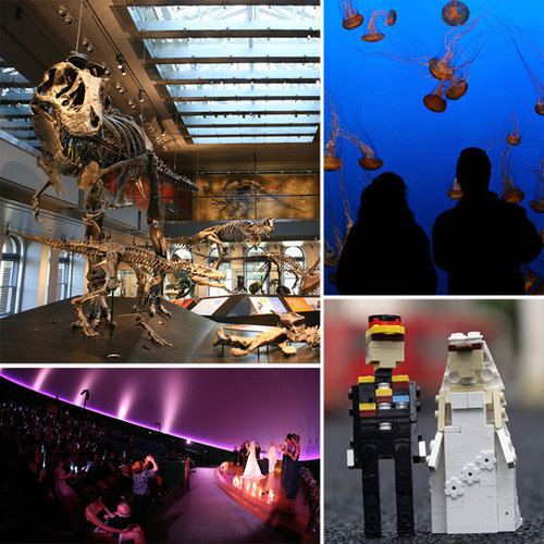 Geek is sharing six slightly nerdy wedding locations that totally break from the norm.
Geek is sharing six slightly nerdy wedding locations that totally break from the norm.
