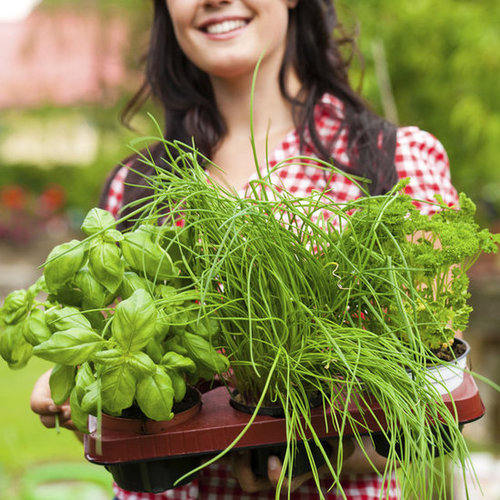 How to Eat Sustainably