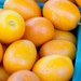 The Spring Fruit: Kumquats