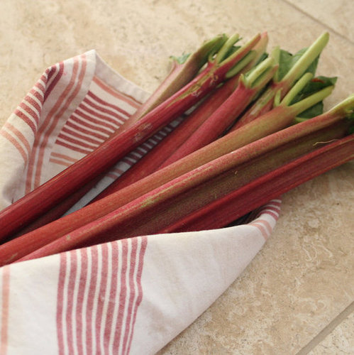 The Spring Fruit: Rhubarb The Spring Fruit: Rhubarb