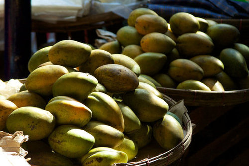 The Spring Fruit: Mangoes The Spring Fruit: Mangoes