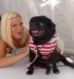 Celebrity pug meets Tory Spelling