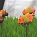 Pigs in a Blanket — Two Ways