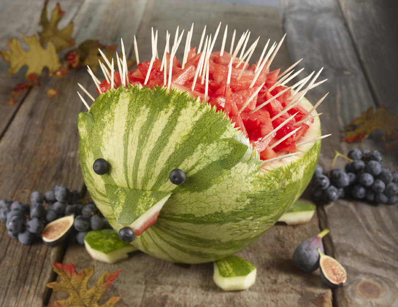 The Sweetest Hedgehog The Sweetest Hedgehog