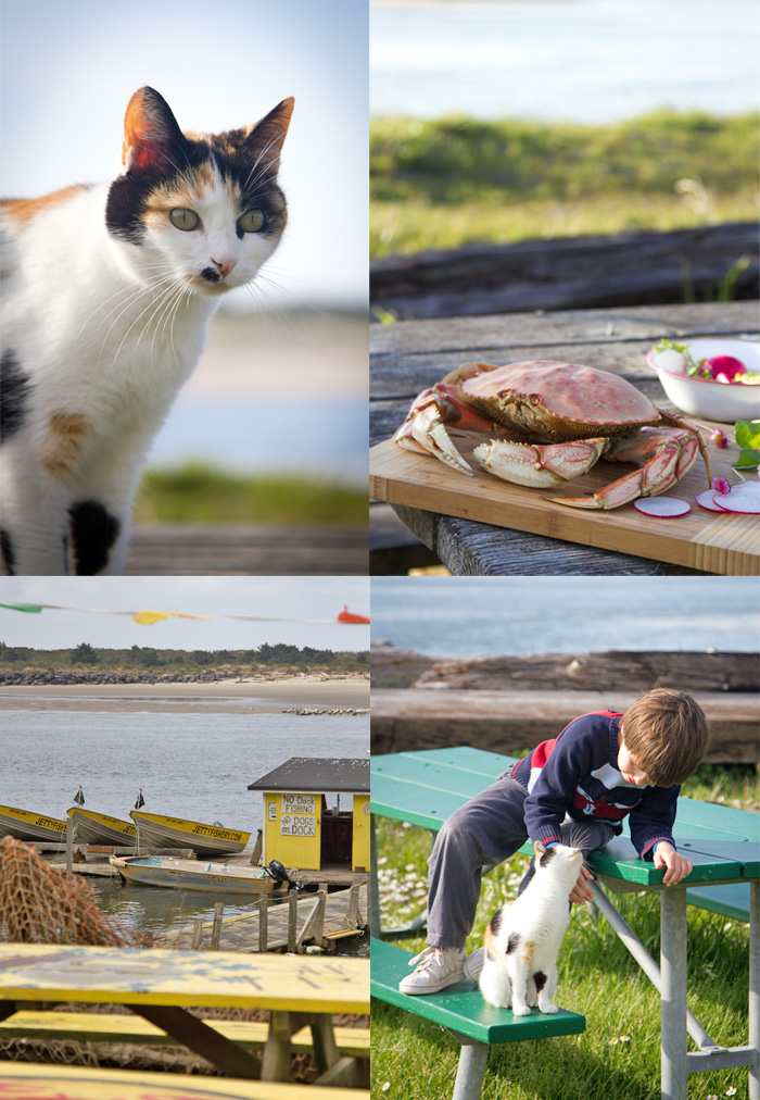 Jetty Fishery, Oregon