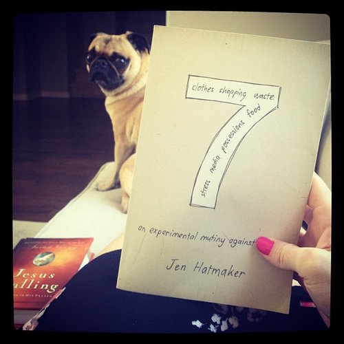 Stephfay said that she's loving reading Jen Hatmaker's 7: An Experimental Mutiny Against Excess, but added that she's "feeling extremely convicted for the abundance of STUFF I own."
Stephfay said that she's loving reading Jen Hatmaker's 7: An Experimental Mutiny Against Excess, but added that she's "feeling extremely convicted for the abundance of STUFF I own."