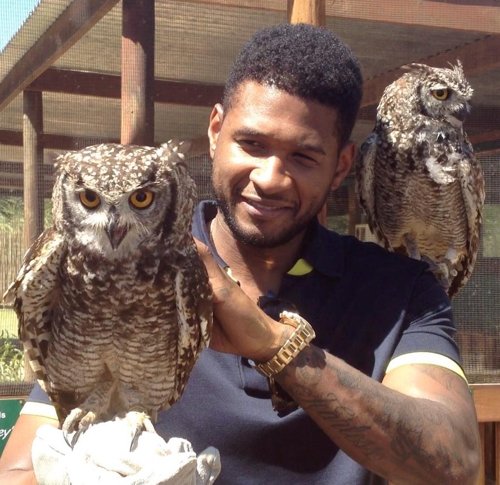 Usher Usher