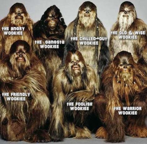 Memes that feature the emotional spectrum of a famous characters have become increasingly popular via Facebook, and Digital Citizen makes sure that Wookiee emotions aren't left out.
Memes that feature the emotional spectrum of a famous characters have become increasingly popular via Facebook, and Digital Citizen makes sure that Wookiee emotions aren't left out.