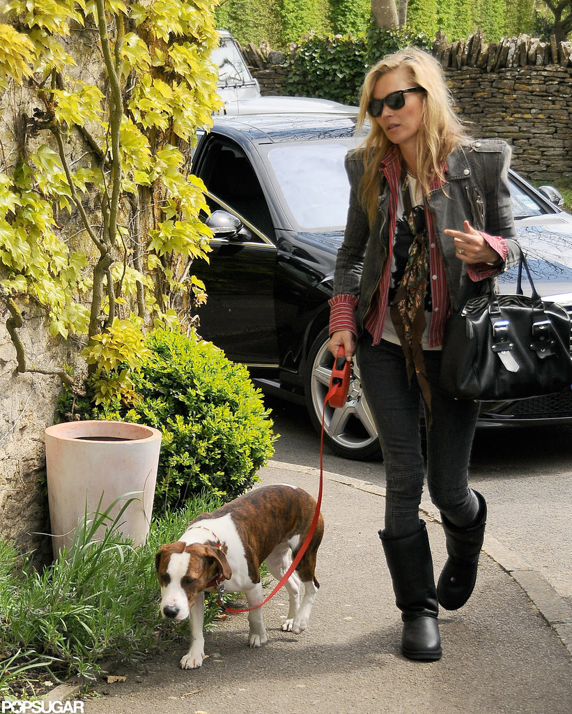 Kate Moss walked Archie the dog. Kate Moss walked Archie the dog.