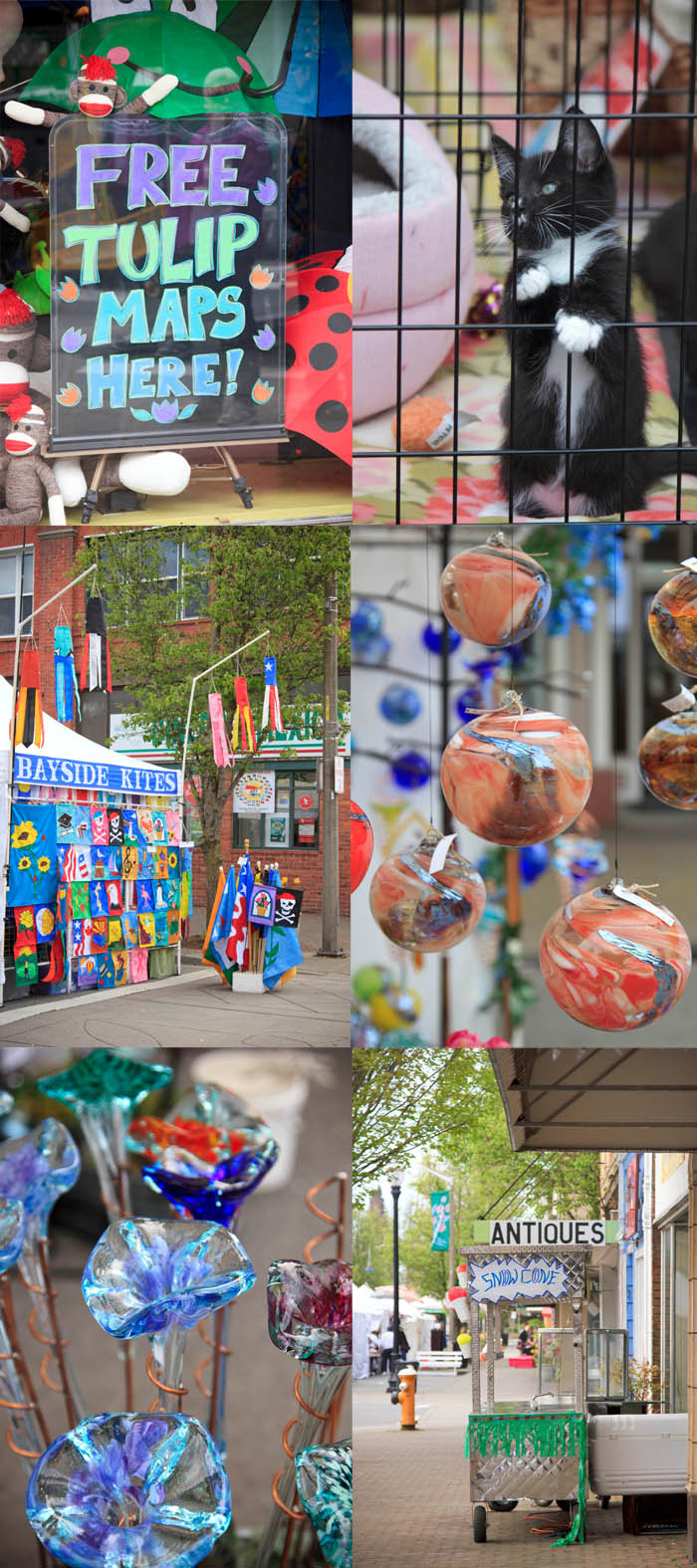 Mt. Vernon Farmers Market, Washington