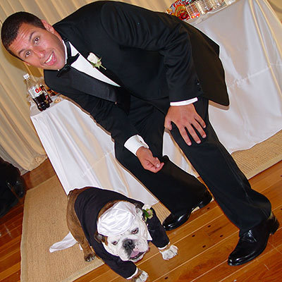 Adam Sandler's Canine Attendant