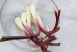 Quick Pickled Vegetables
