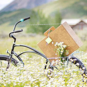 Compostable, Biodegradable Picnic Supplies