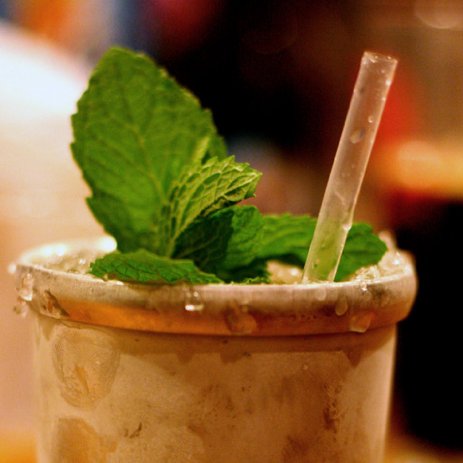 Mint Julep Tips