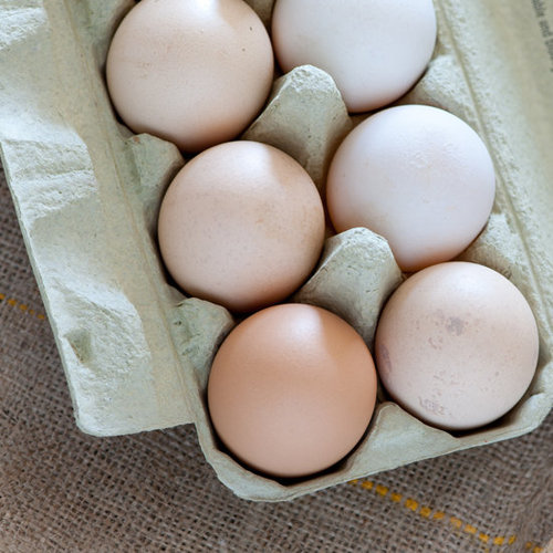 Eggs Eggs