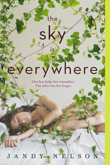 The Sky Is Everywhere The Sky Is Everywhere