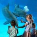National Aquarium: Baltimore, MD