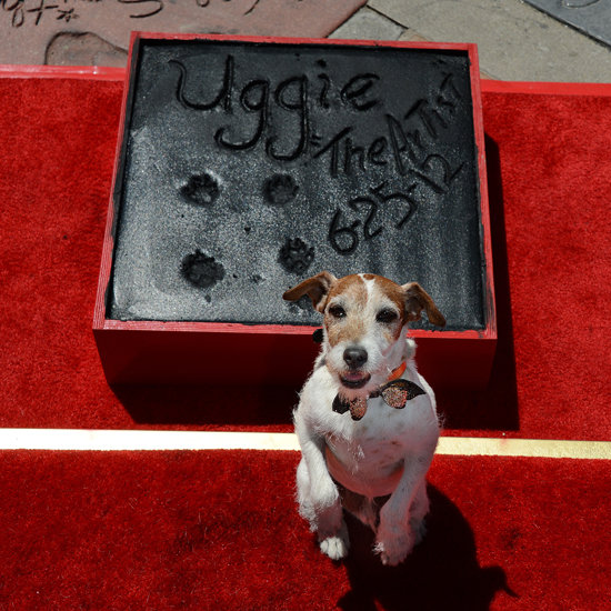 Uggie's Paw Print Ceremony Pictures