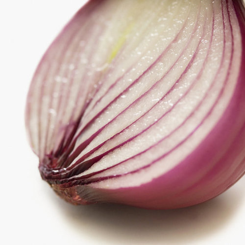 Onion: Love It or Leave It? Onion: Love It or Leave It?